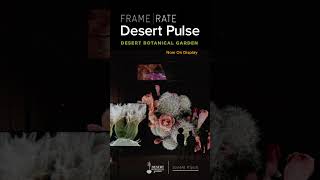 Experience FRAMERATE: Desert Pulse at Desert Botanical Garden