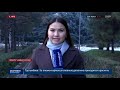 Басты жаңалықтар. 04.12.2019 күнгі шығарылым / Новости Казахстана