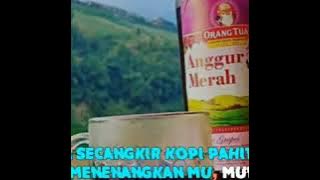 STORY WA DJ ~ PONG-PONG X TROUBLE ~ STATUS WA MINUM ALKOHOL ORANG TUA