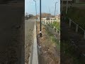 24 октября 2024 г.