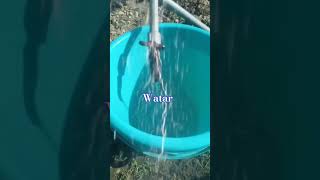 water 💦 current #shortsfeed #shortvideo #share #shorts