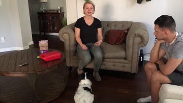 Dobby Counterconditioning