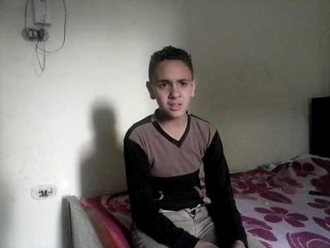 قريه النهضه العامريه