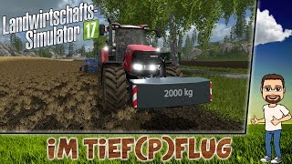 LS17 - Brückenbach #003 - Großer Pflug, kleine Karte [HD] [german]