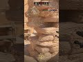 Scout 4K + 1v3 Clutch | Dust2