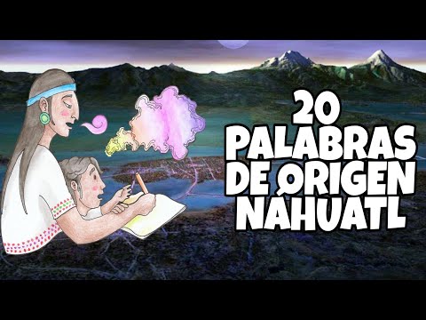 20         