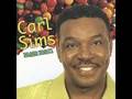 Carl Sims - I