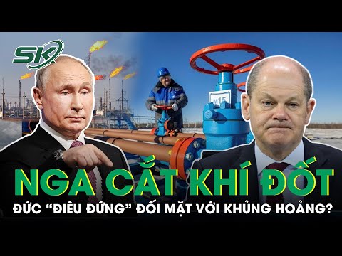 Video: Đường ống dẫn khí đốt của Nga: bản đồ và sơ đồ. Đường ống dẫn khí đốt từ Nga sang Châu Âu