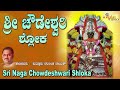 ಶ್ರೀ ಚೌಡೇಶ್ವರಿ ದೇವಿ ಶ್ಲೋಕ | Sri Chowdeshwari Devi Shloka | Narasimha Nayak | Devi Shloka Mp3 Song