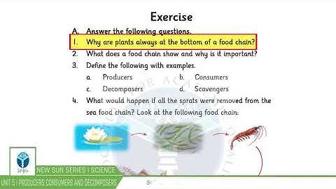 NSS Grade 03 Science Chapter 05
