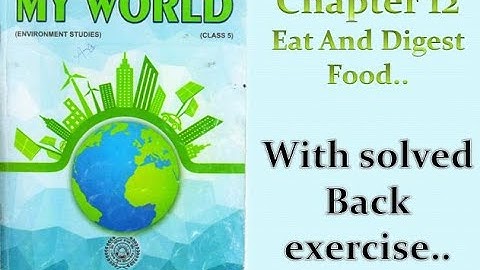 |ਕਲਾਸ 5ਵੀਂ |evs |(pseb) ਅਧਿਆਇ 12 [ਭੋਜਨ ਖਾਓ ਅਤੇ ਪਚਾਓ]