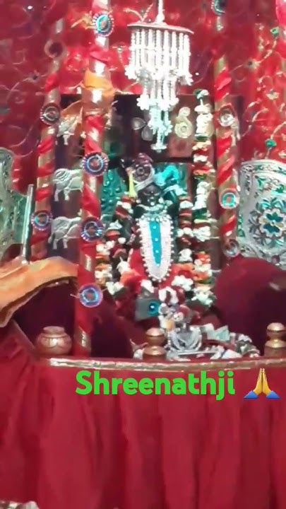 shreenathji holi darsan images