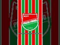 Hino do EC Passo Fundo Versão 8-bits❤️🤍💚🐓