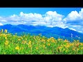 Summer in Japan Mt Yatsugatake 4K 1HR Nature Relaxation 日本の夏 八ヶ岳 4K映像 日本の美しい四季 長野県山梨県 絶景自然風景