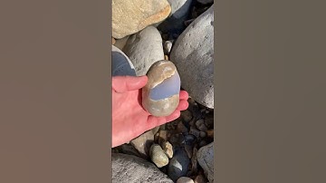 I can’t believe I found this rockhound’s treasure!#shorts#rockhounding