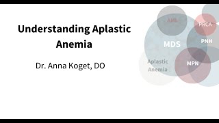 Understanding Aplastic Anemia 2021 Winter Patient Family Conference @AAMDSIF