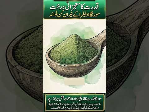 Moringa Leaves Powder Benefits #drusmanmirza #shorts #short #shortvideo #reels #vlog #youtubeshorts