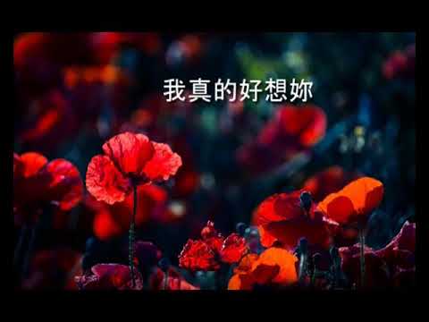 紙短情長 ( Cover By - Xiangyuan & WoonBing )