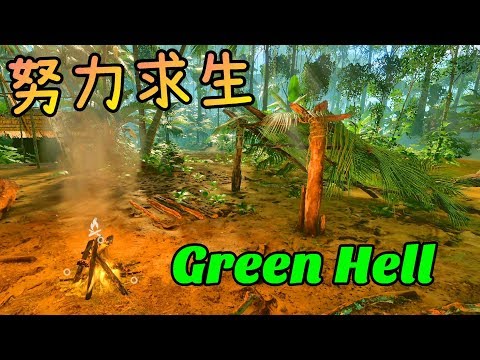 受困亞馬遜雨林，設法活下去※綠色地獄※Green Hell Ep.0