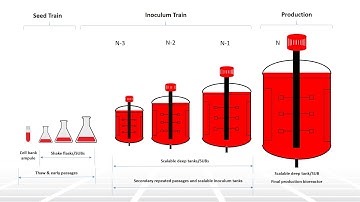 Introduction to Viral Safety Part 1 - Two Minute Tuesday Technical Training