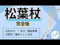あなたの怪我した足はどっち？正しい松葉杖の使い方と、疲れないコツ