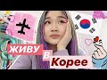 ЖИЗНЬ В КОРЕЕ🇰🇷| КОРЕЙСКАЯ ШКОЛА🏨| ПЕРЕЕХАЛА?