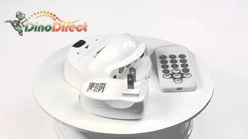 Universal Dock Station with Remote Control & Video Output for iPod touch  from Dinodirect.com