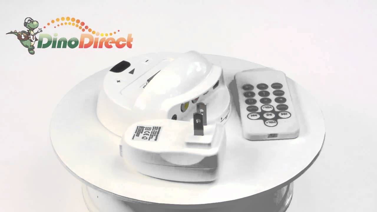 Universal Dock Station with Remote Control & Video Output for iPod touch  from Dinodirect.com