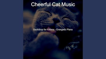 Pulsating Moods for Cats