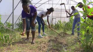 Protected Agriculture: a Voices for Climate Change Education 2019 PSA