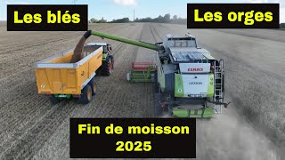 Download Lagu Moisson 2025 Les blés et les orges de brasserie MP3 Download Lagu Moisson 2025 Les blés et les orges de brasserie MP3