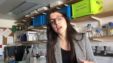 Why are we sampling carbon in rivers?