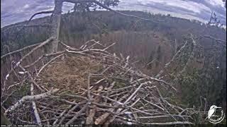 J E20210428 144400StrangerAndFemaleCallsFar