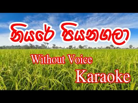 Niyare Piyanagala Karaoke Songs for party   Saman De Silva