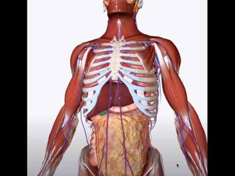 Video: Valsalva Maneuver: Definice, Postupy, Použití, Varování A Další