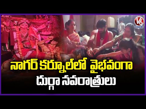 Devi Sharan Navaratri Grand Celebrations In Piratvani Palli | Nagarkurnool | V6 News - V6NEWSTELUGU