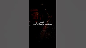 الشيخ ياسر الدوسري | تلاوات القران الكريم #القرآن_الكريم #تلاوة_خاشعة #الجزائر_تونس_المغرب #chorts