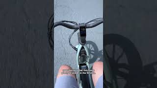 Segway Muxi throttle pull