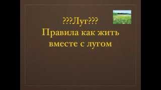 Проек. Гусаров Илья. Правила поведения на лугу.