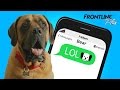 If Your Dog Could Text You