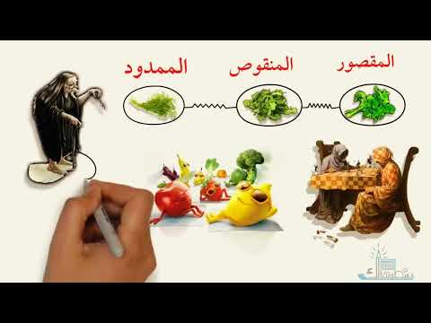 الاسم المقصور بسطتهالك أ محمد صلاح 