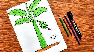 How to draw a BANANA TREE step by step | TREE drawing easy for beginners |