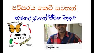 සමනලයාගේ ජීවන චක්රය game pasala 345