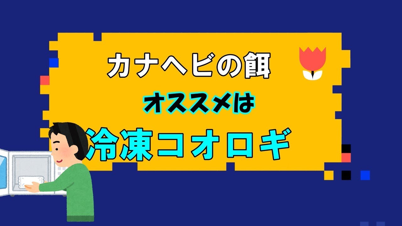 カナヘビの餌 オススメは冷凍コオロギ 動画あり とかぼうブログ カナヘビの餌 オススメは冷凍コオロギ 動画あり とかぼうブログ