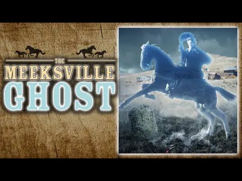THE MEEKSVILLE GHOST