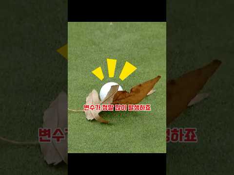 변수가 정말 많은 스포츠 1위는 골프가 아닐까요?⛳️ thumbnail