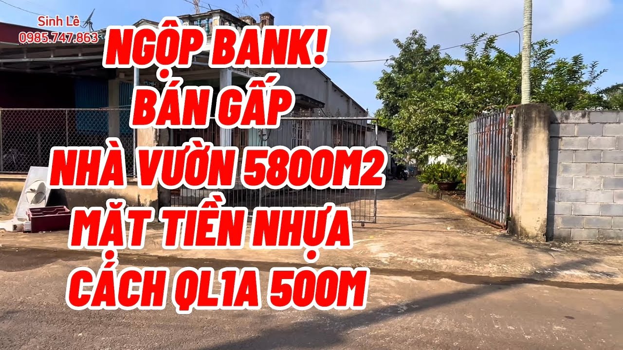 (Đã bán)Nhà vườn chuồng trại 5800m2 có vườn cây ao cá, QL1A vào 500m 