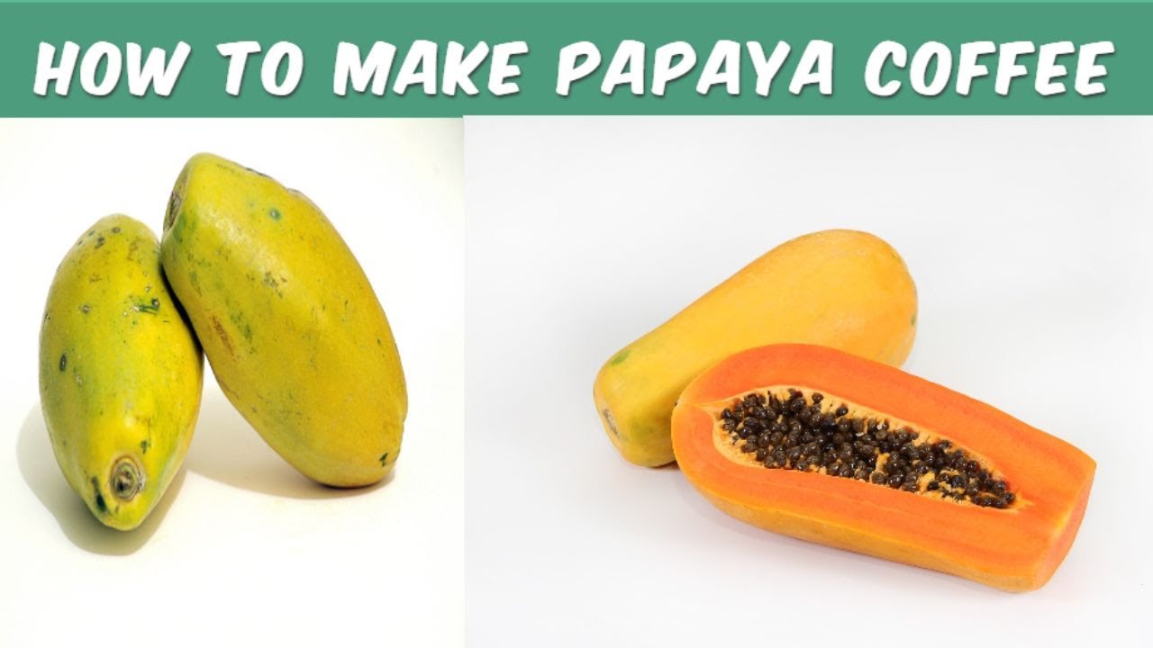 How To Make Papaya Coffee Papaya Breast Coffee YouTube