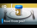 Phosphorus: The Essential Element