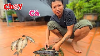 Download Lagu Tặng Quế Nghịch Cá Và Tận Mắt Chứng Kiến Mưa Bão Tràn Về Thế Nào.. MP3 Download Lagu Tặng Quế Nghịch Cá Và Tận Mắt Chứng Kiến Mưa Bão Tràn Về Thế Nào.. MP3